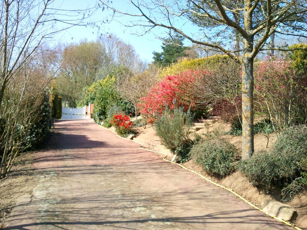 Mas Du Trezon Bed & Breakfast Cholet Exterior photo